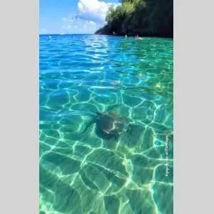 Jennifer, babysitter à Vaureal